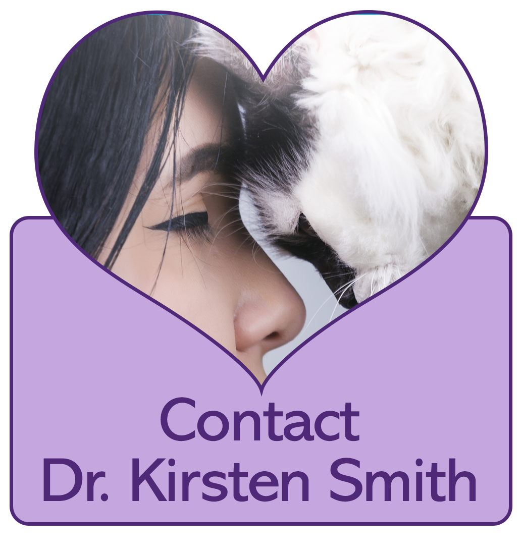 Contact Us Button