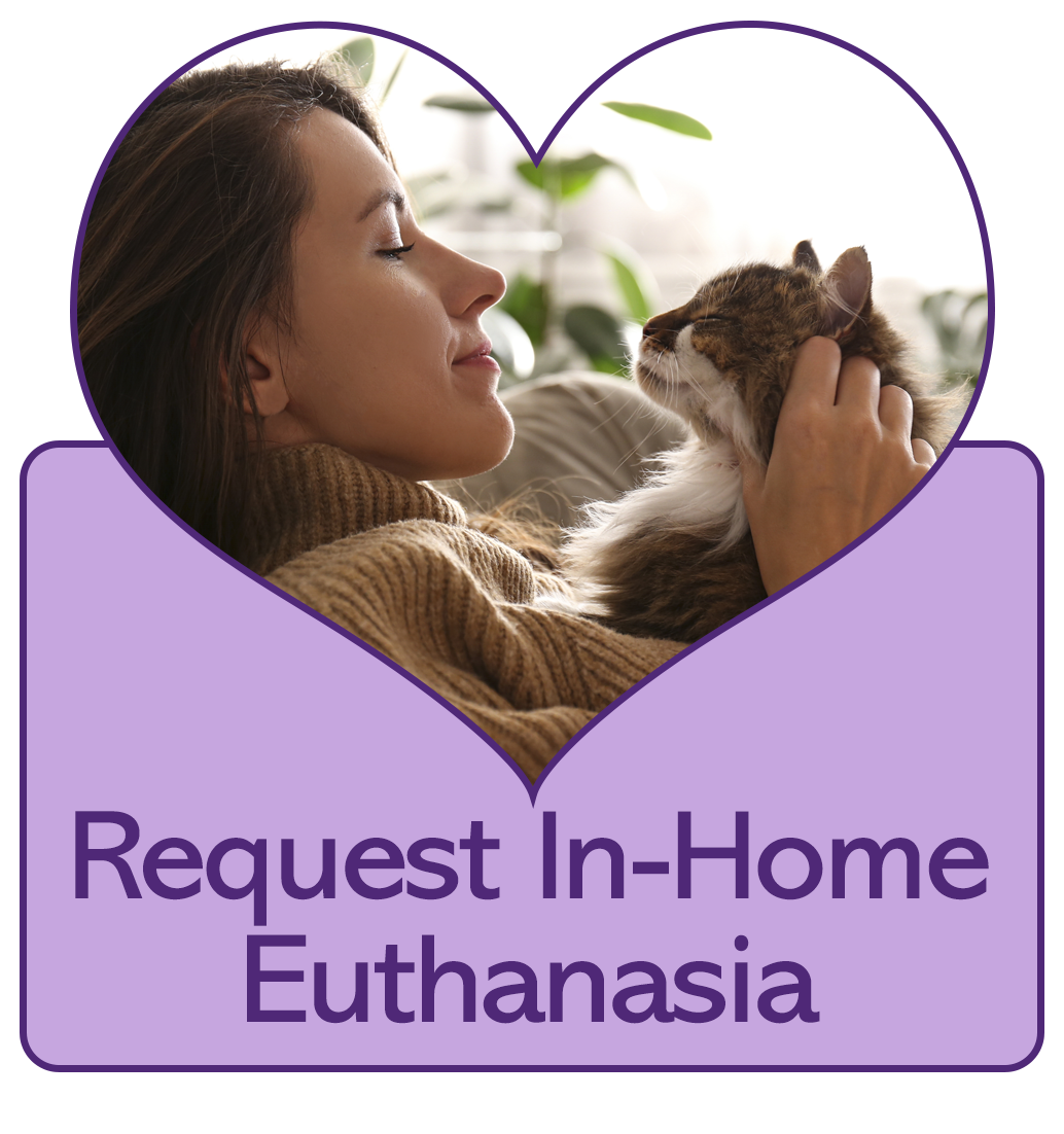Request In-Home Euthanasia Button